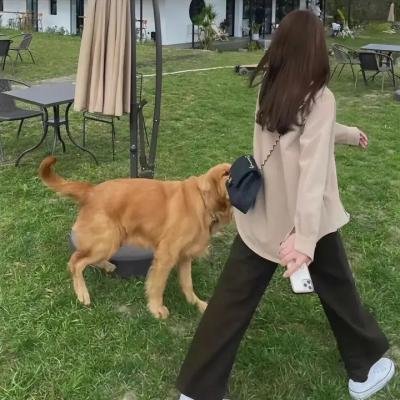 没有翅膀的男人