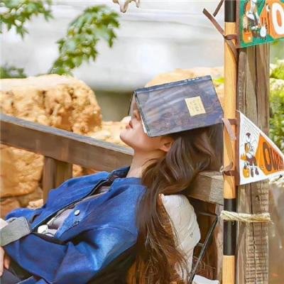 大内神捕